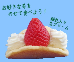 イメージ画像です。